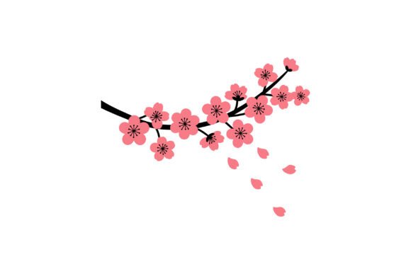 Cherry Blossom Graphics & Illustrations for Branding