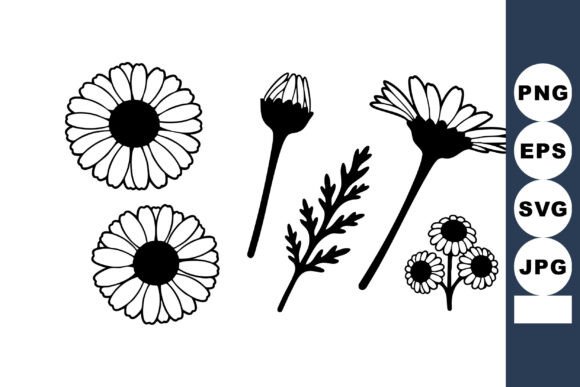 Daisy Flowers Vector: Classic Graphics & Illustrations