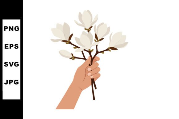 Hand Holding White Magnolia Flowers Vect: Graphics & Illustrations