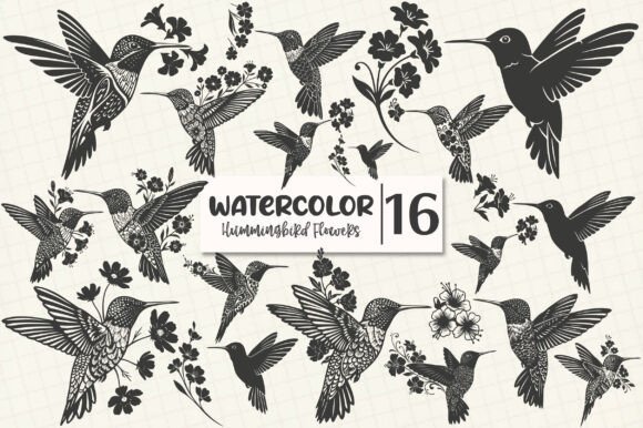 Hummingbird Flowers: Graphics & Illustrations