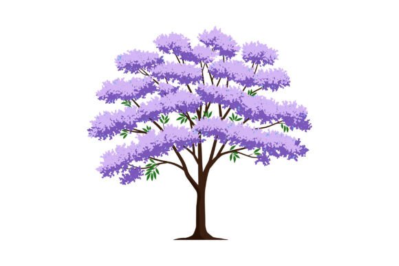 Jacaranda Tree Graphics: Peaceful Illustrations for Crafts