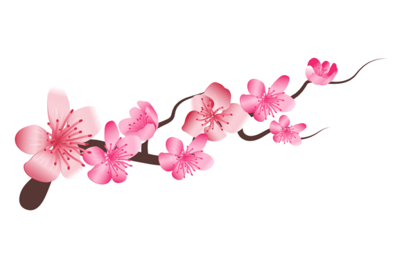 Japanese Cherry Blooming Graphics & Illustrations