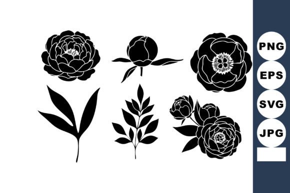 Peony Silhouette Graphics & Illustrations Review