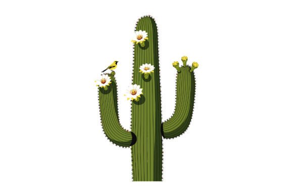 Saguaro Cactus with White Flowers and Ye Review