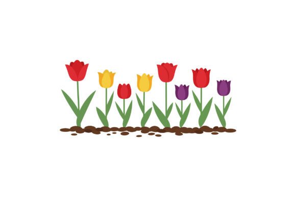 Tulip Flowers Graphics & Illustrations for Blogs