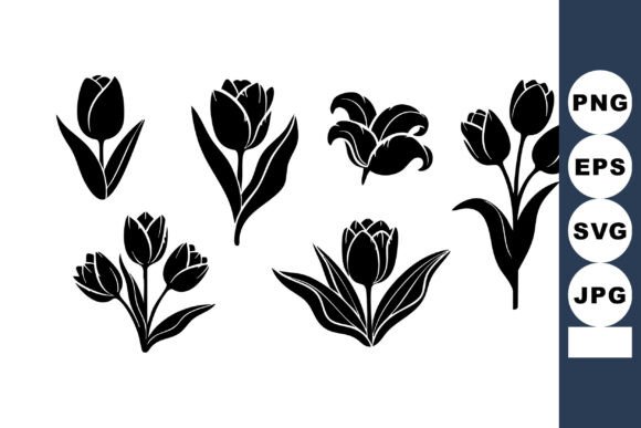 Tulip Flowers Vector Set with Black Silh: Graphics & Illustrations