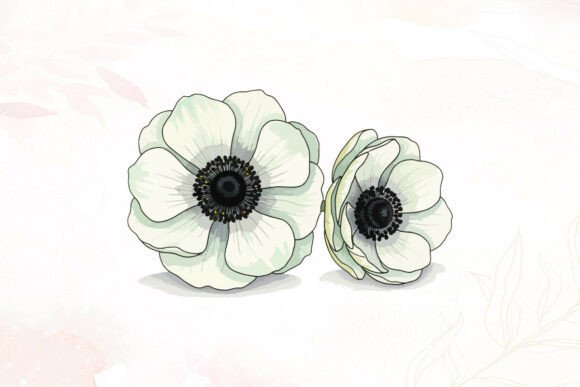 White Anemone Flowers Illustration: Premium Graphics