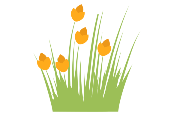 Wild Flowers Graphics & Illustrations for Branding